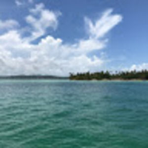 Meet your Posher, Carolyn